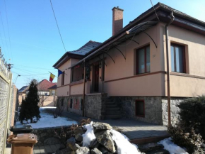 Casa Pleșca